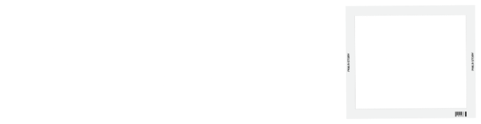Picscan AI